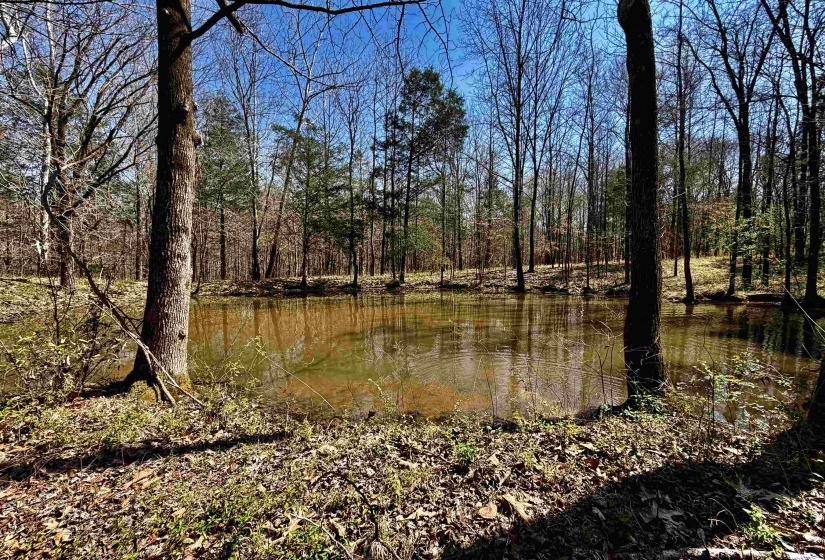 6195 BOBBITT RD, Unincorporated, Tennessee 38057, 3 Bedroom Bedrooms, 7 Room Rooms,2 BathroomBathrooms,Residential,For Sale,BOBBITT,0,10217569