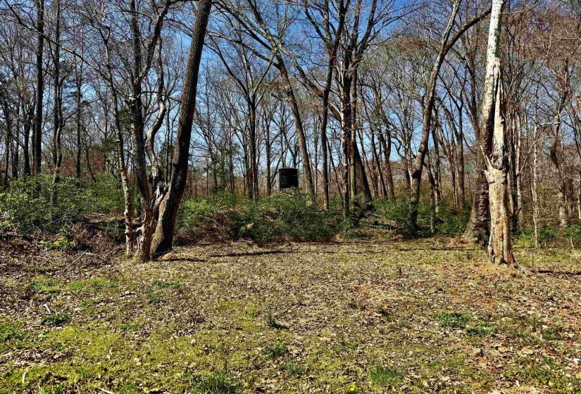6195 BOBBITT RD, Unincorporated, Tennessee 38057, 3 Bedroom Bedrooms, 7 Room Rooms,2 BathroomBathrooms,Residential,For Sale,BOBBITT,0,10217569