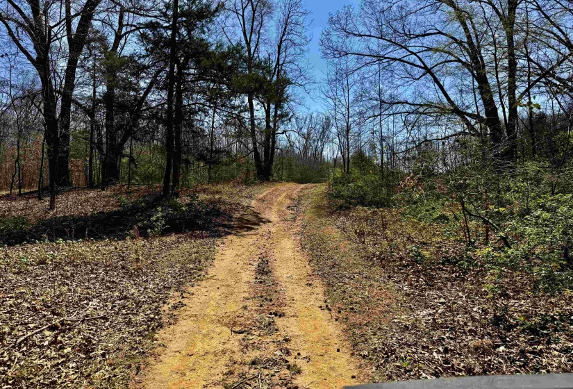 6195 BOBBITT RD, Unincorporated, Tennessee 38057, 3 Bedroom Bedrooms, 7 Room Rooms,2 BathroomBathrooms,Residential,For Sale,BOBBITT,0,10217569