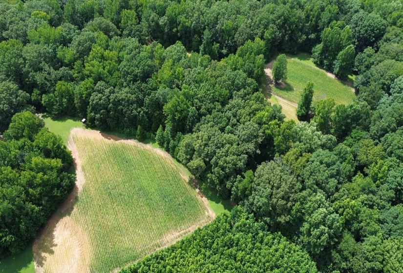6195 BOBBITT RD, Unincorporated, Tennessee 38057, 3 Bedroom Bedrooms, 7 Room Rooms,2 BathroomBathrooms,Residential,For Sale,BOBBITT,0,10217569