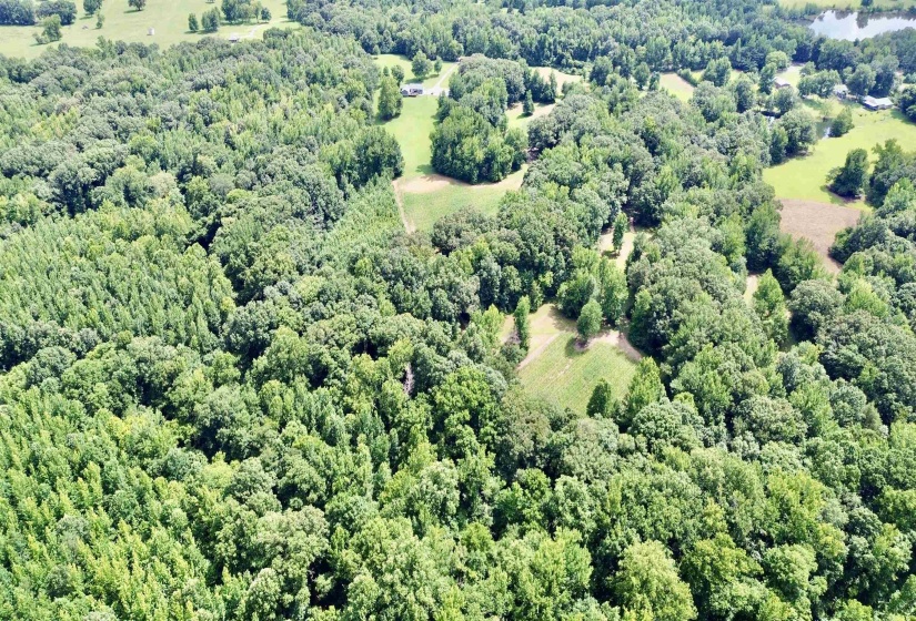 6195 BOBBITT RD, Unincorporated, Tennessee 38057, 3 Bedroom Bedrooms, 7 Room Rooms,2 BathroomBathrooms,Residential,For Sale,BOBBITT,0,10217569