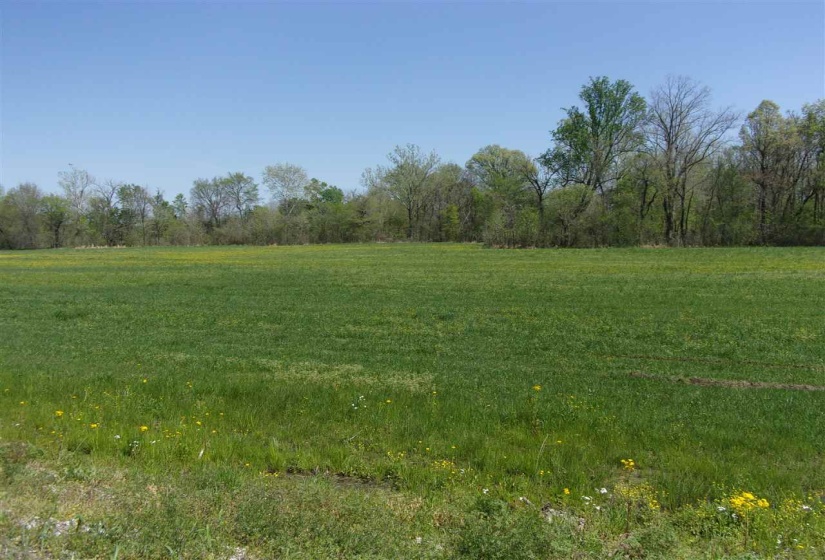 000 LOVELACE CROSSING RD, Henning, Tennessee 38041, 0 , 0 ,0,Land,For Sale,LOVELACE CROSSING,0,10217624