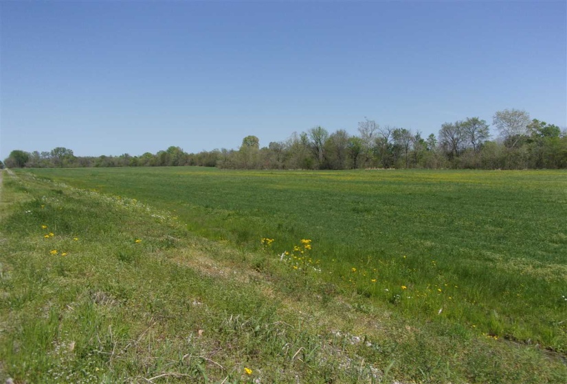 000 LOVELACE CROSSING RD, Henning, Tennessee 38041, 0 , 0 ,0,Land,For Sale,LOVELACE CROSSING,0,10217624
