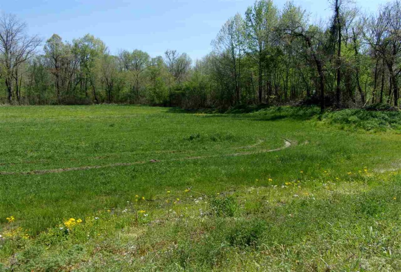 000 LOVELACE CROSSING RD, Henning, Tennessee 38041, 0 , 0 ,0,Land,For Sale,LOVELACE CROSSING,0,10217624