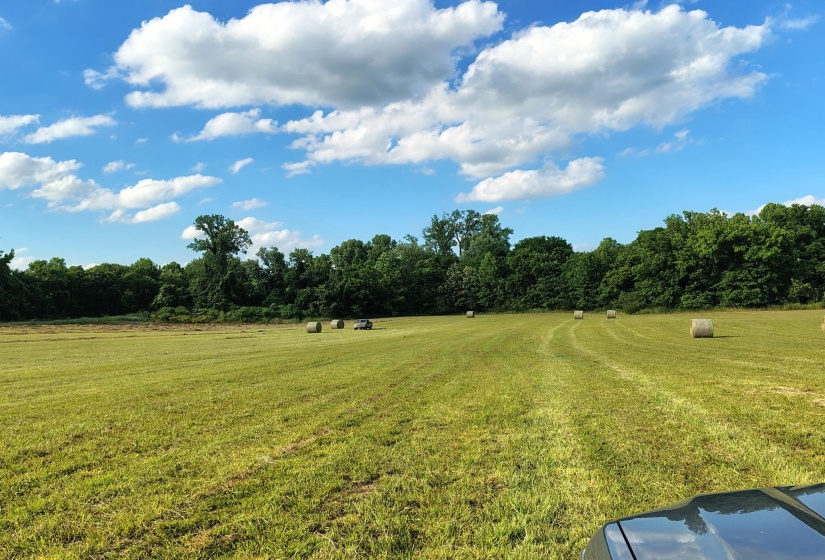 000 LOVELACE CROSSING RD, Henning, Tennessee 38041, 0 , 0 ,0,Land,For Sale,LOVELACE CROSSING,0,10217624