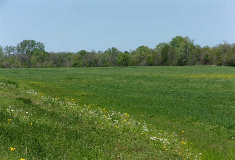 000 LOVELACE CROSSING RD, Henning, Tennessee 38041, 0 , 0 ,0,Land,For Sale,LOVELACE CROSSING,0,10217624