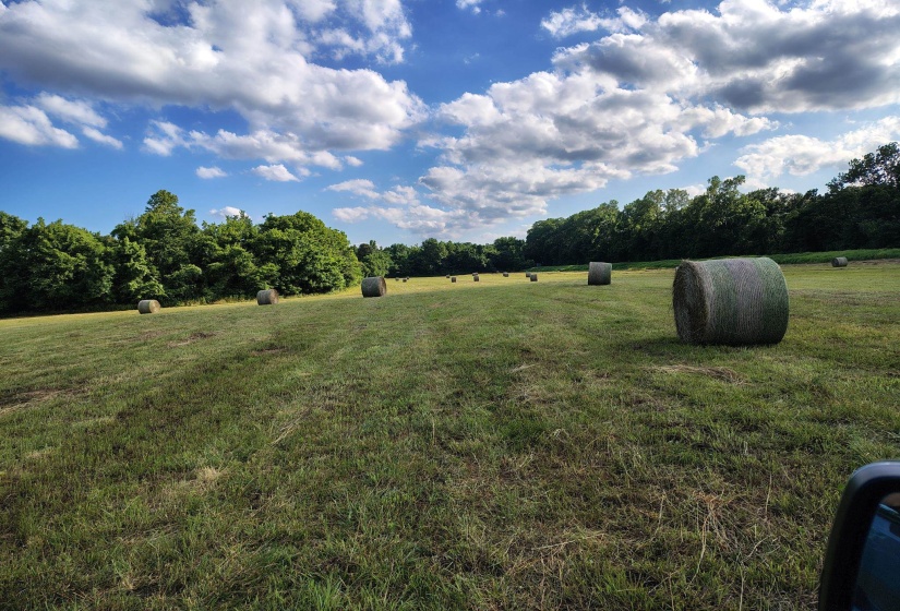 000 LOVELACE CROSSING RD, Henning, Tennessee 38041, 0 , 0 ,0,Land,For Sale,LOVELACE CROSSING,0,10217624