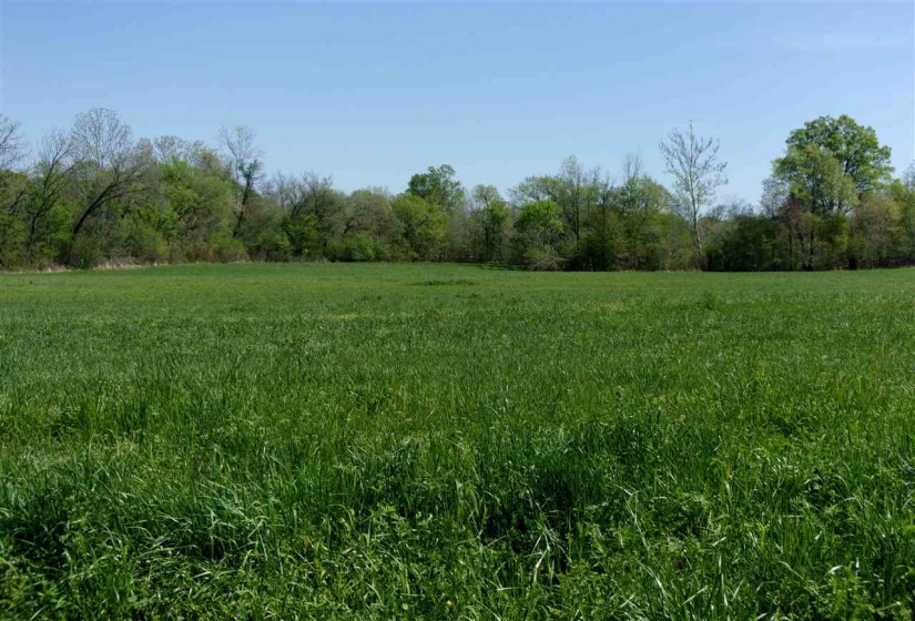 000 LOVELACE CROSSING RD, Henning, Tennessee 38041, 0 , 0 ,0,Land,For Sale,LOVELACE CROSSING,0,10217624