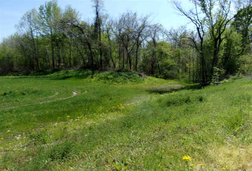 000 LOVELACE CROSSING RD, Henning, Tennessee 38041, 0 , 0 ,0,Land,For Sale,LOVELACE CROSSING,0,10217624