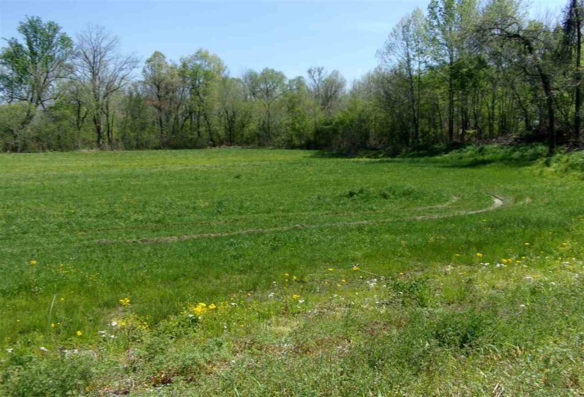 000 LOVELACE CROSSING RD, Henning, Tennessee 38041, 0 , 0 ,0,Land,For Sale,LOVELACE CROSSING,0,10217624