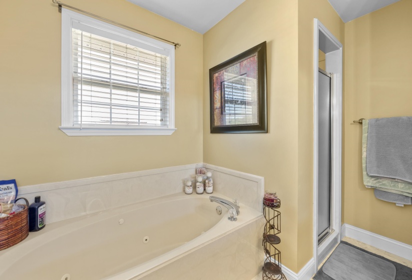 77 LAUREN CV, Atoka, Tennessee 38004, 4 Bedrooms Bedrooms, 9 Rooms Rooms,2 BathroomsBathrooms,Residential,For Sale,LAUREN,10217646