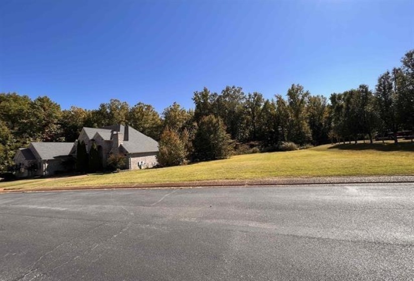 View of asphalt street featuring view of wooded area and curbs