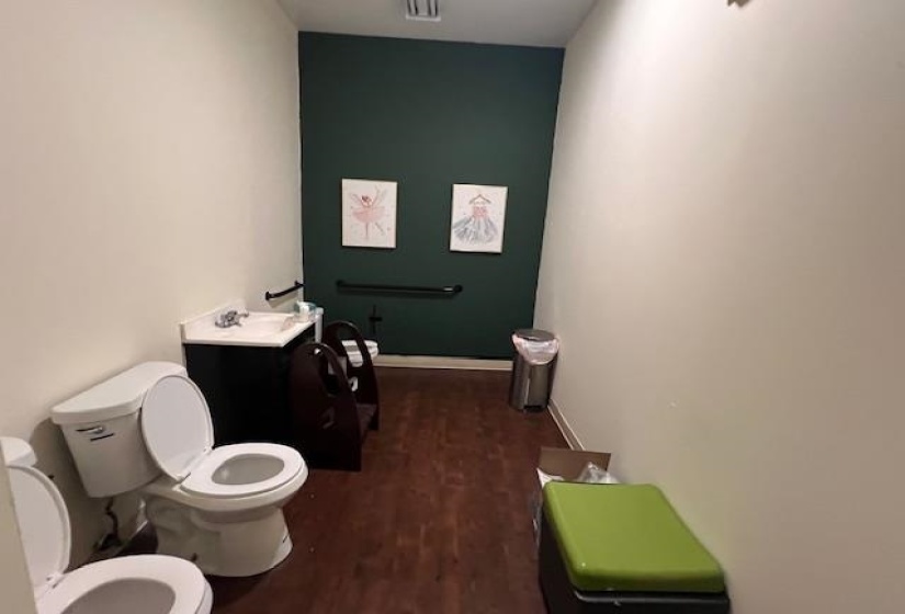 Bathroom featuring dark wood-style flooring and vanity