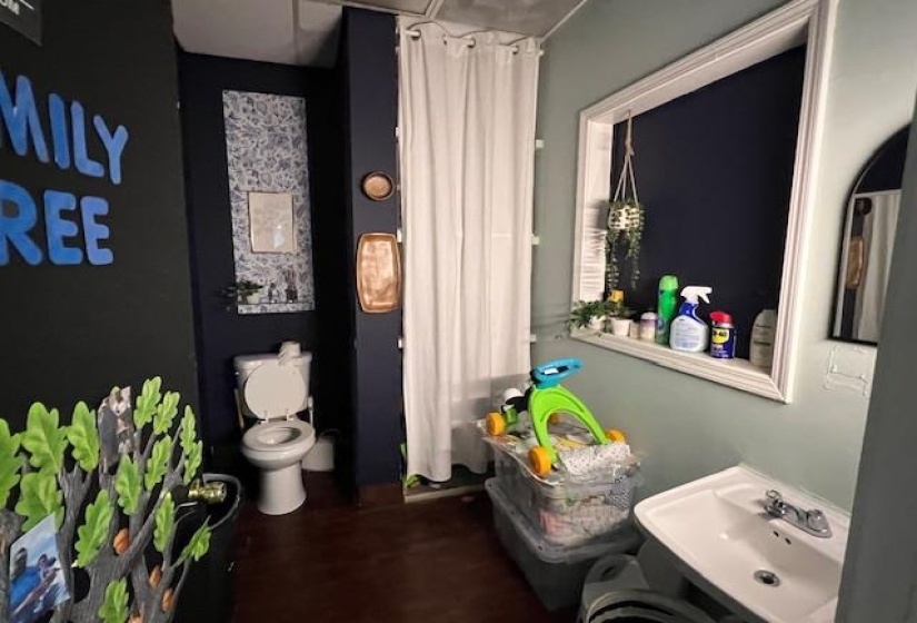 Bathroom with a sink and curtained shower
