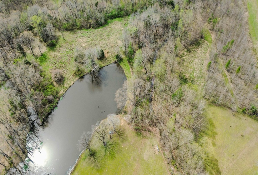 22560 HWY 64 HWY, Somerville, Tennessee 38068, 3 Bedrooms Bedrooms, 8 Rooms Rooms,2 BathroomsBathrooms,Residential,For Sale,HWY 64,10217695