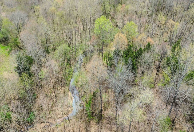 22560 HWY 64 HWY, Somerville, Tennessee 38068, 3 Bedrooms Bedrooms, 8 Rooms Rooms,2 BathroomsBathrooms,Residential,For Sale,HWY 64,10217695