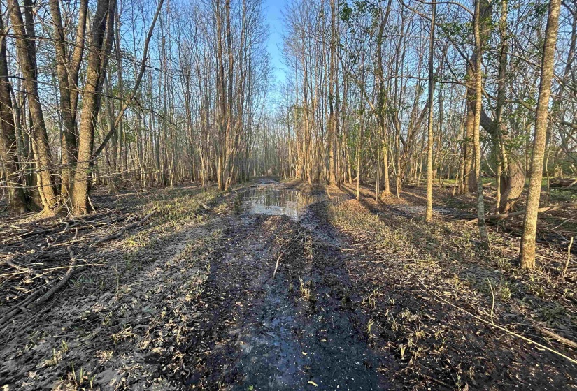 View of road