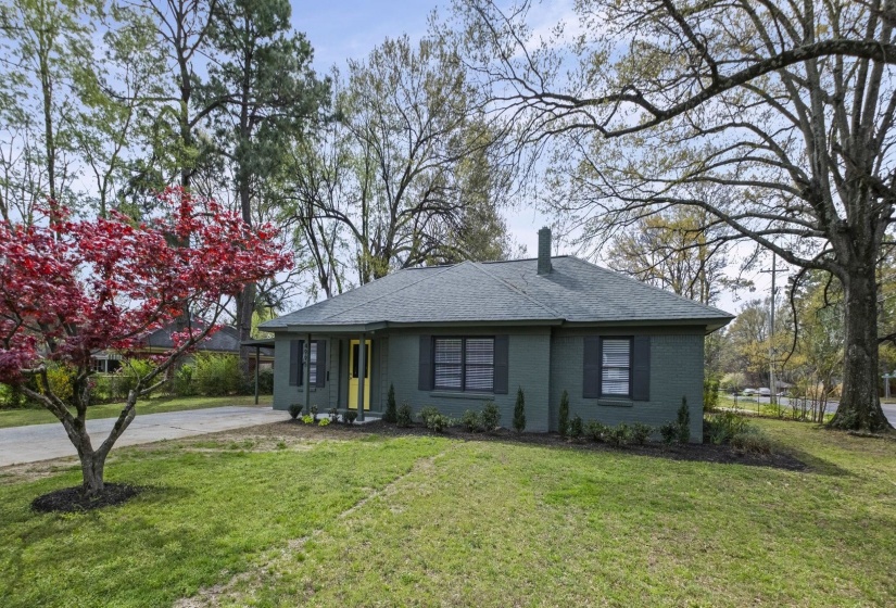 View of front of home with brick siding, a front yard, and a shingled roof