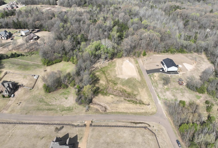 Aerial view of a heavily wooded area