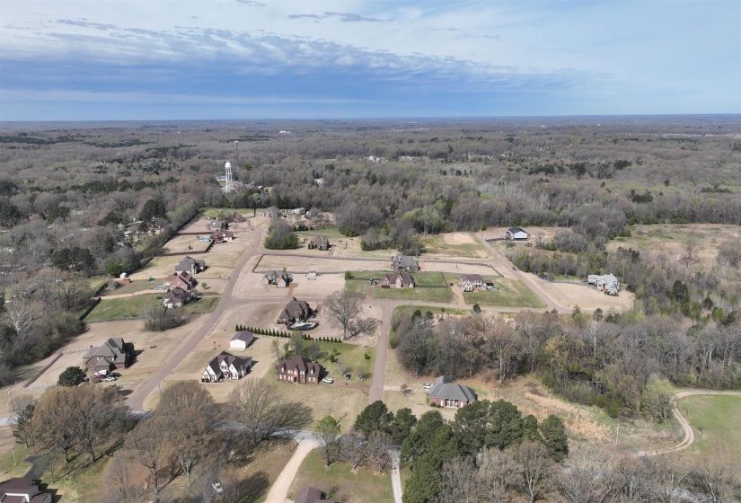 Aerial view of a forest