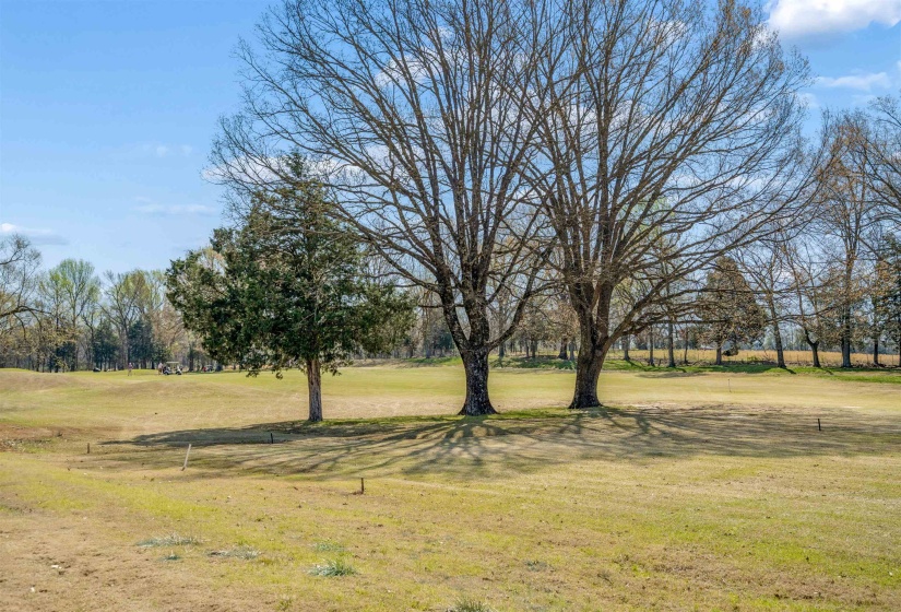 340 ST ANDREWS DR, Oakland, Tennessee 38060, 4 Bedroom Bedrooms, 9 Room Rooms,3 BathroomBathrooms,Residential,For Sale,ST ANDREWS,0,10217797