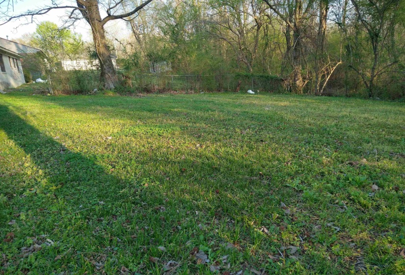 View of back yard