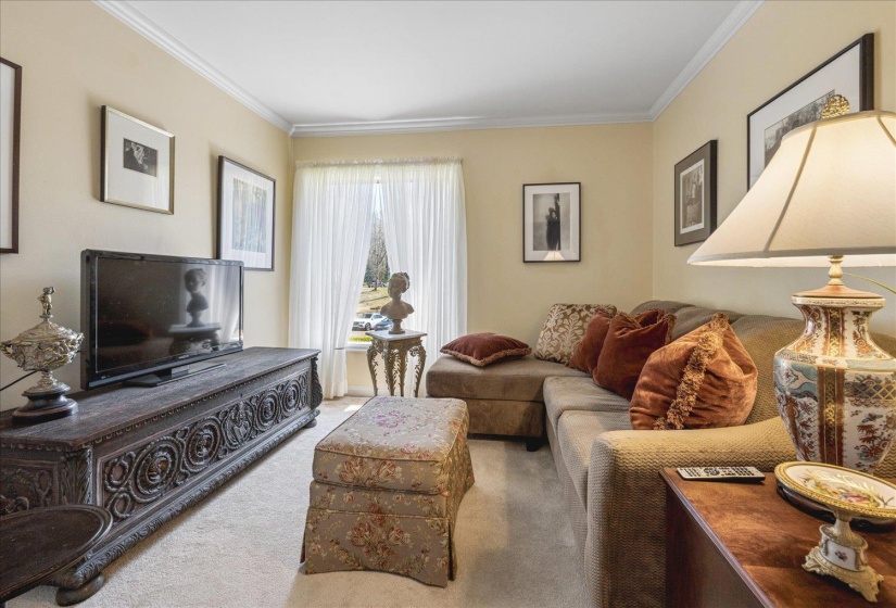 Living room with crown molding and carpet flooring