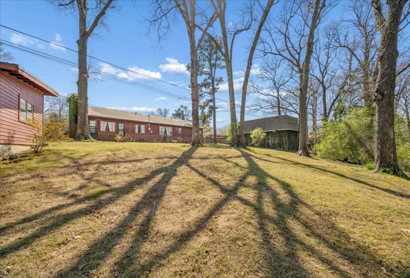 View of grassy yard