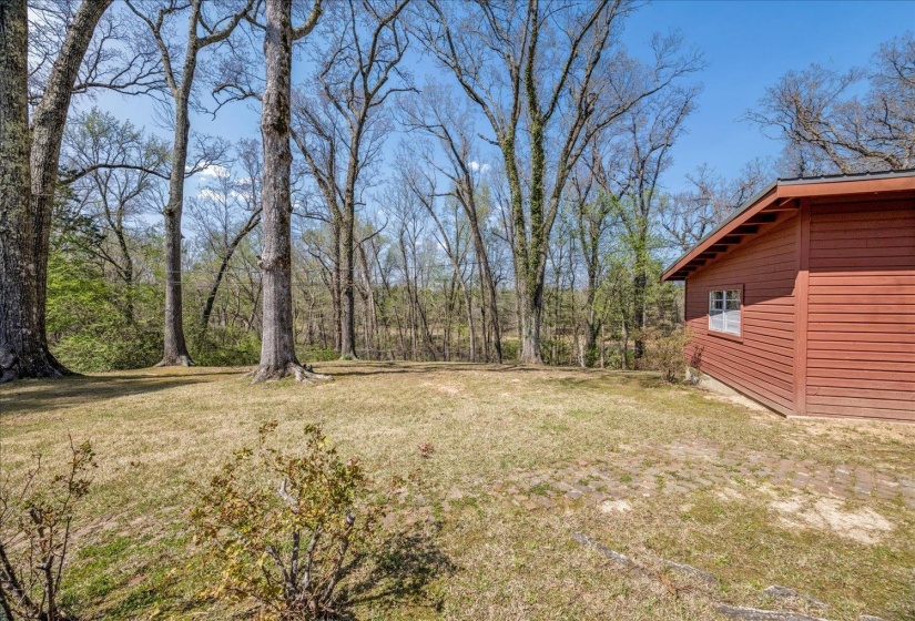 View of grassy yard