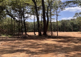 75 LEONARD LN, Holly Springs, Mississippi 38635, ,Land,For Sale,LEONARD,10217942 75 LEONARD LN, Holly Springs, Mississippi 38635, ,Land,For Sale,LEONARD,10217942