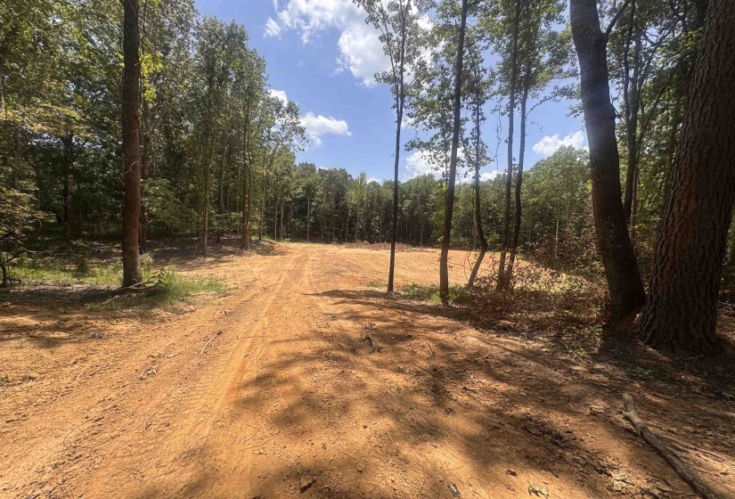 View of dirt / gravel road featuring a wooded view
