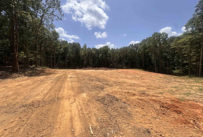 View of dirt / gravel road with a wooded view