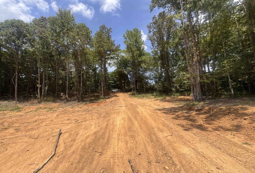 View of dirt / gravel road featuring a forest view