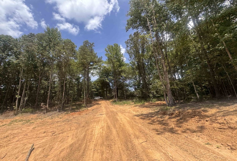 View of dirt / gravel road with a wooded view