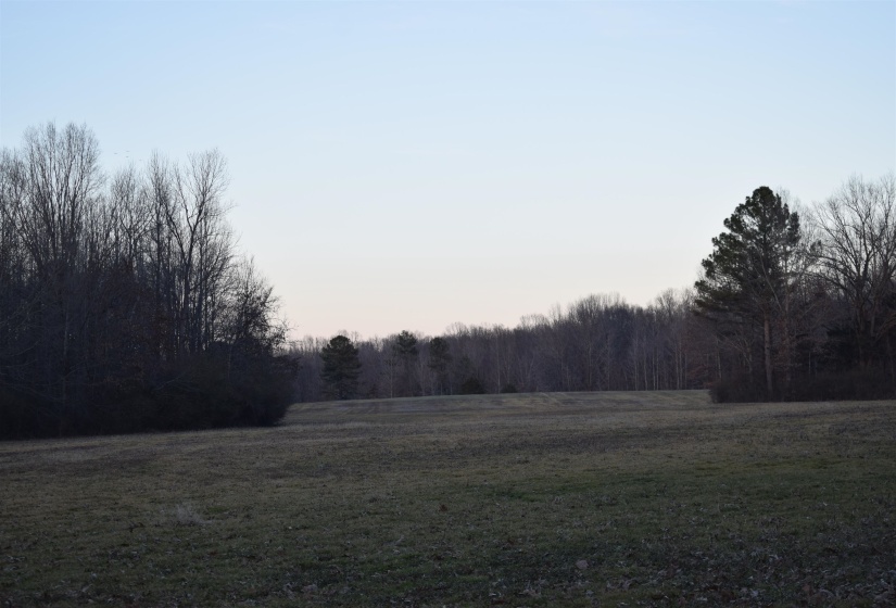 View of yard at dusk