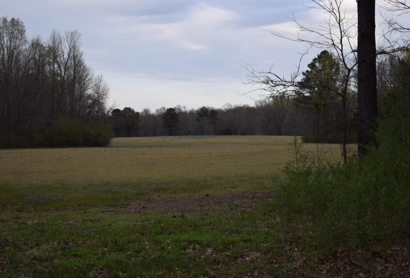 View of yard with a wooded view