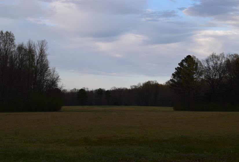 View of landscape featuring a wooded view