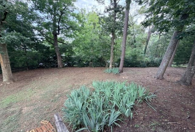 135 SPUMANTE LN, Counce, Tennessee 38326, 4 Bedroom Bedrooms, 8 Room Rooms,2 BathroomBathrooms,Residential,For Sale,SPUMANTE,0,10217958