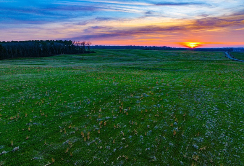 Yard at dusk featuring a view of countryside