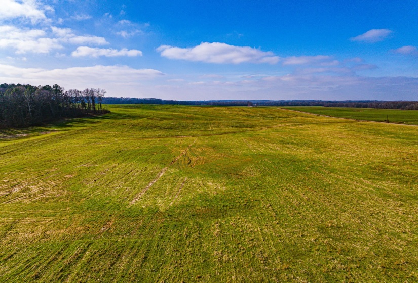 View of grassy yard featuring a view of countryside