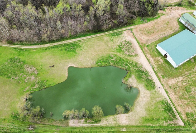 7650 HIGHWAY 18 HWY, Hickory Valley, Tennessee 38042-5202, ,Land,For Sale,HIGHWAY 18,10217988