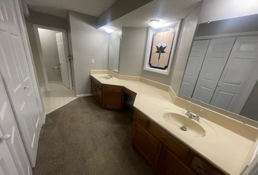 Bathroom featuring dark carpet and vanity