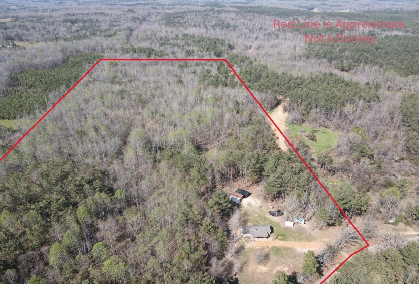1042 BEAUTY RD, Bethel Springs, Tennessee 38315, ,Land,For Sale,BEAUTY,10218032