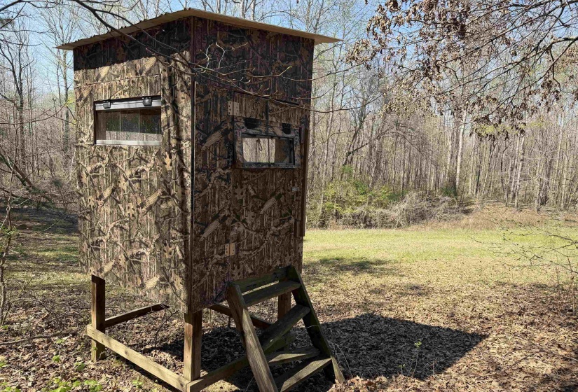 1042 BEAUTY RD, Bethel Springs, Tennessee 38315, ,Land,For Sale,BEAUTY,10218032