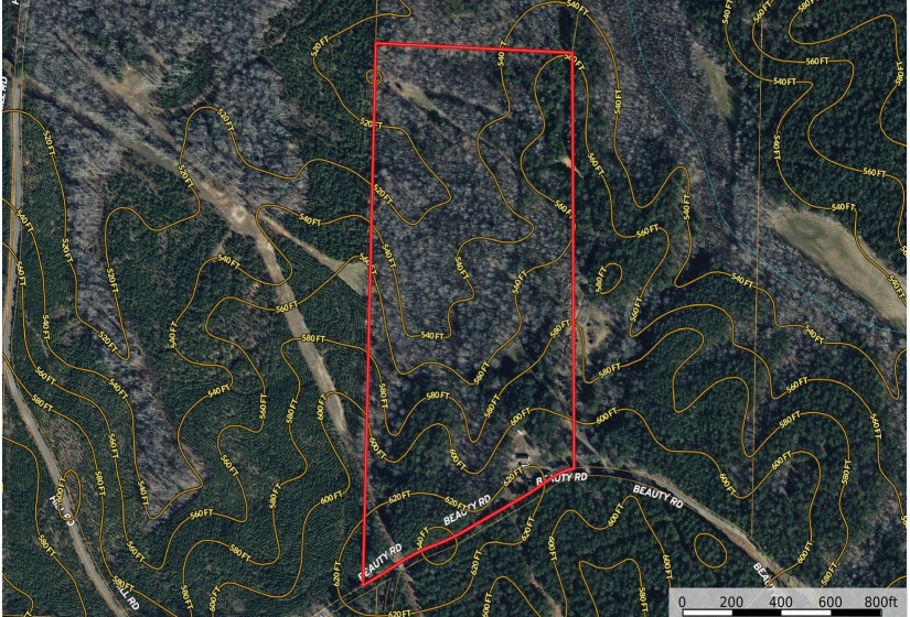 1042 BEAUTY RD, Bethel Springs, Tennessee 38315, ,Land,For Sale,BEAUTY,10218032