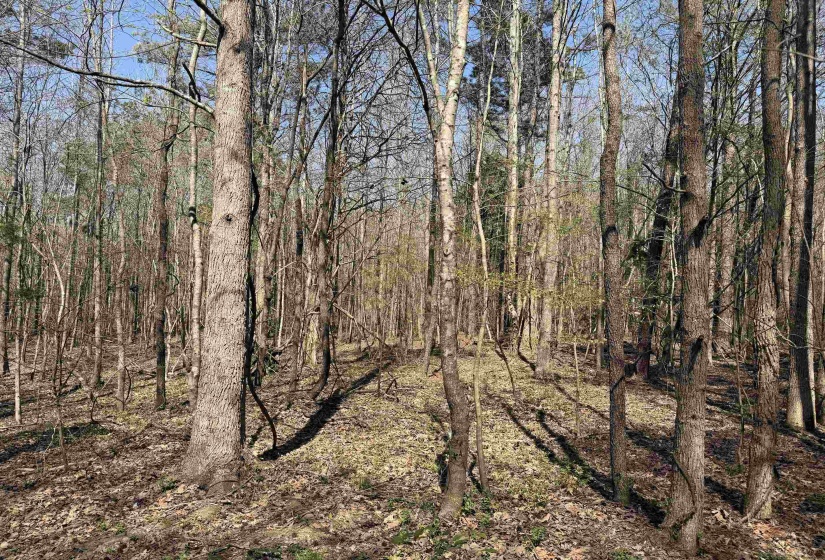 1042 BEAUTY RD, Bethel Springs, Tennessee 38315, ,Land,For Sale,BEAUTY,10218032