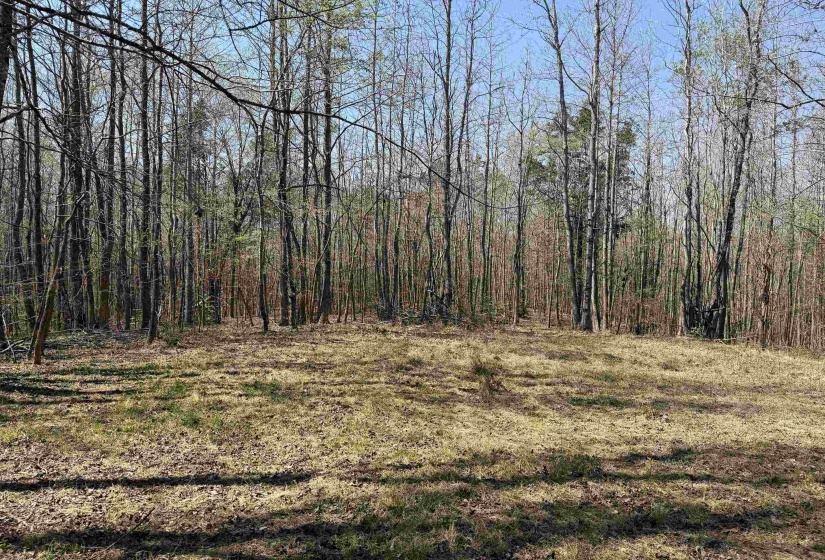 1042 BEAUTY RD, Bethel Springs, Tennessee 38315, ,Land,For Sale,BEAUTY,10218032