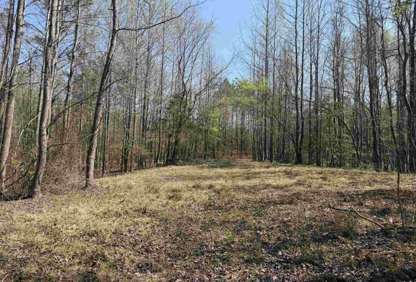 1042 BEAUTY RD, Bethel Springs, Tennessee 38315, ,Land,For Sale,BEAUTY,10218032