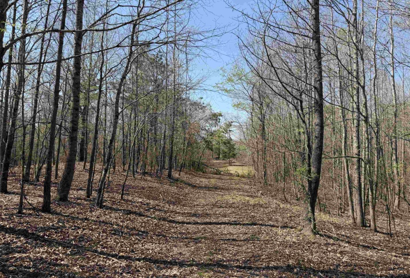 1042 BEAUTY RD, Bethel Springs, Tennessee 38315, ,Land,For Sale,BEAUTY,10218032