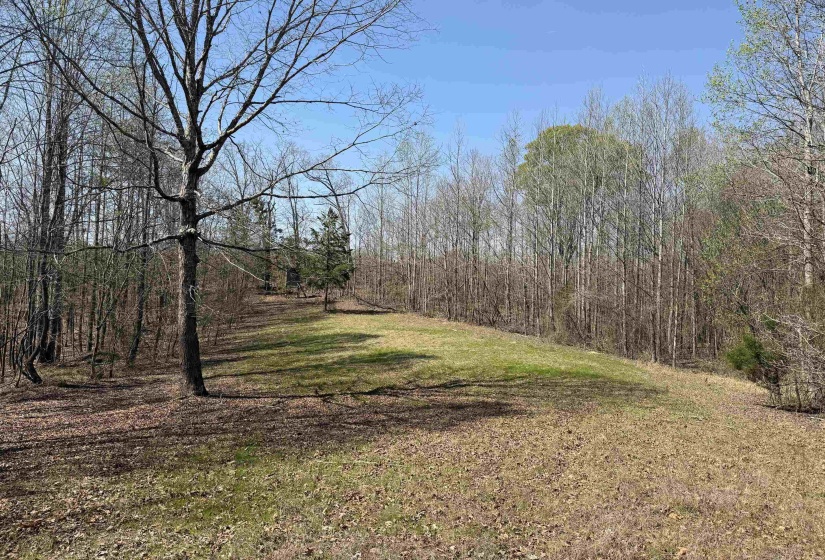 1042 BEAUTY RD, Bethel Springs, Tennessee 38315, ,Land,For Sale,BEAUTY,10218032